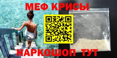 молекула духа Кингисепп