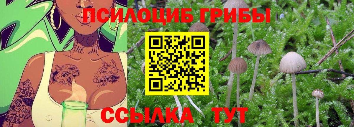 Псилоцибиновые грибы GOLDEN TEACHER Кумертау