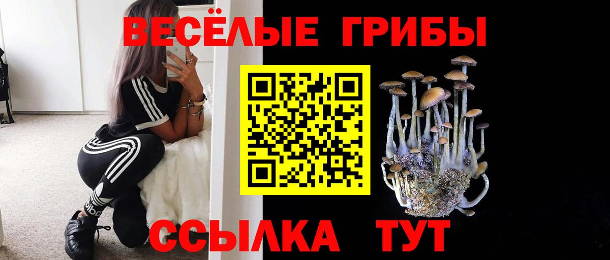 Псилоцибиновые грибы ЛСД  Вход с VPN  Кумертау 